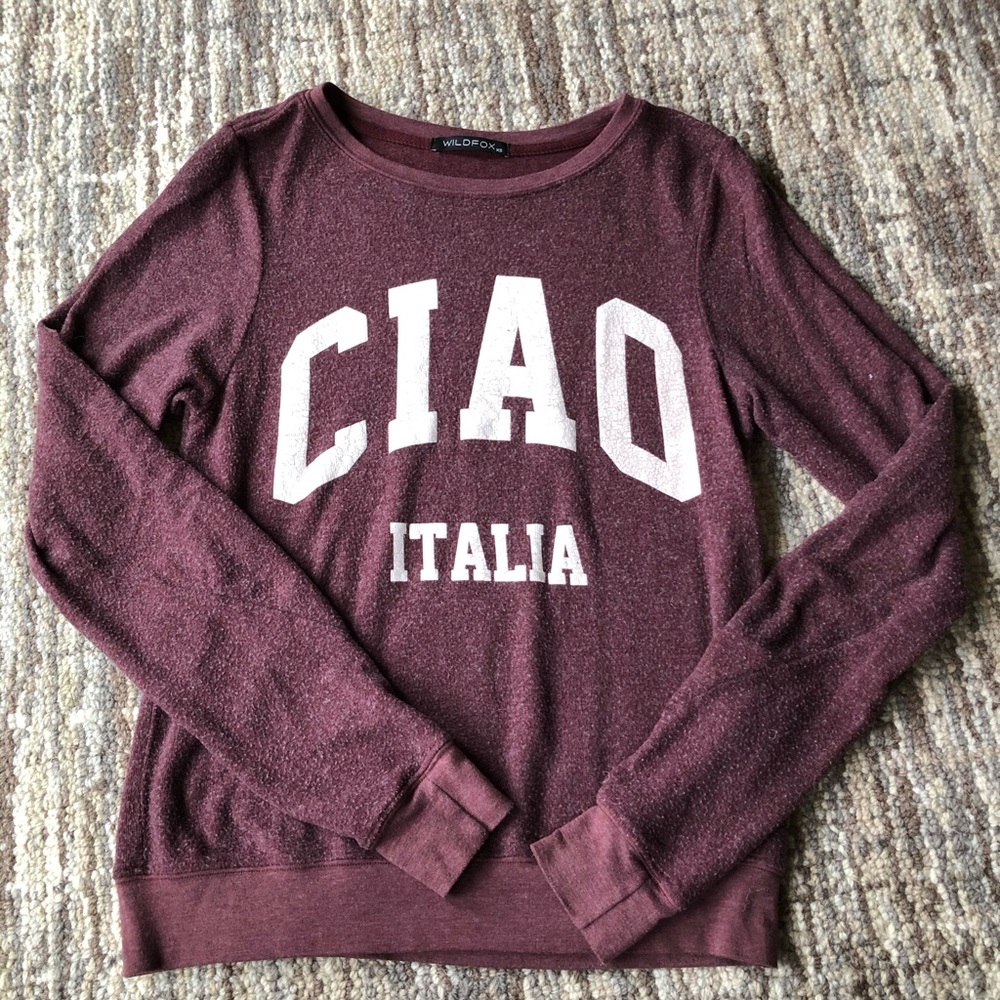 Wildfox sweatshirt